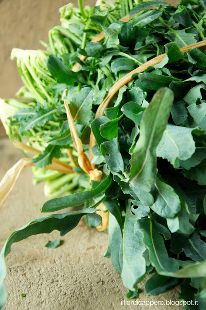 broccolo-fiolaro