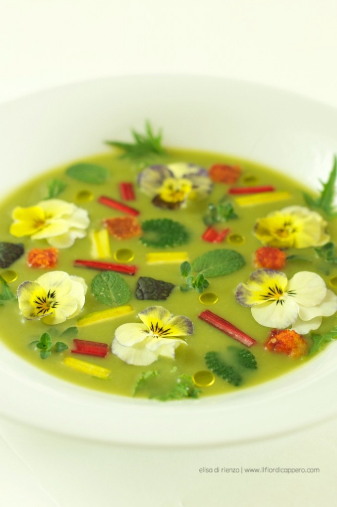 crema-di-asparagi-primavera
