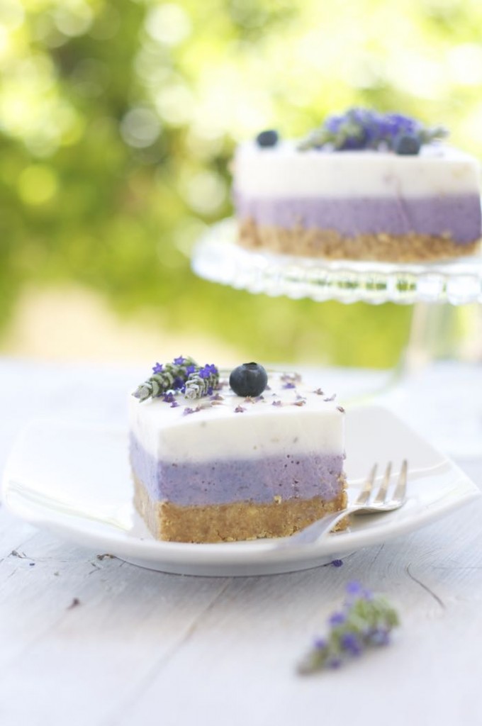 Plumcake con mirtilli, lavanda e limone (anche senza glutine) 15 chesesecake mirtilli lavanda 22
