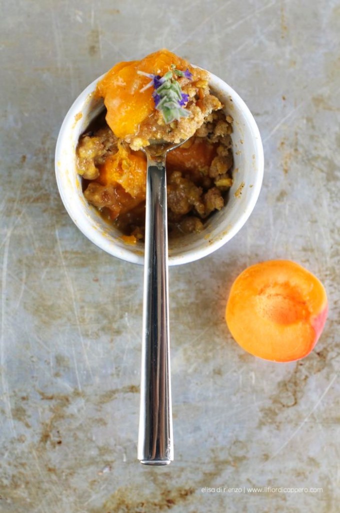 Plumcake con mirtilli, lavanda e limone (anche senza glutine) 14 crumble di albicocche lavanda e rosmarino