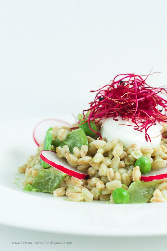 Insalata di farro estiva: come renderla speciale 7 farrotto di verdure di primavera