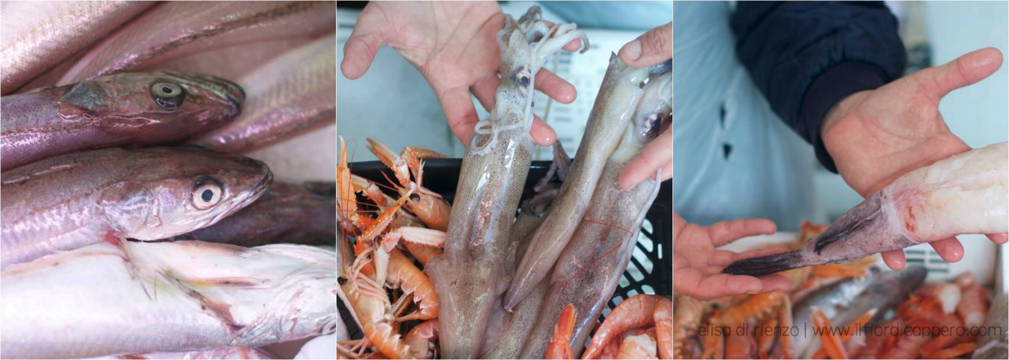 Brodetto di pesce alla "ciosota" 9 in pescheria