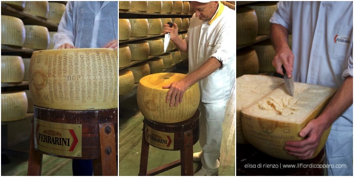 parmigiano-degustazione