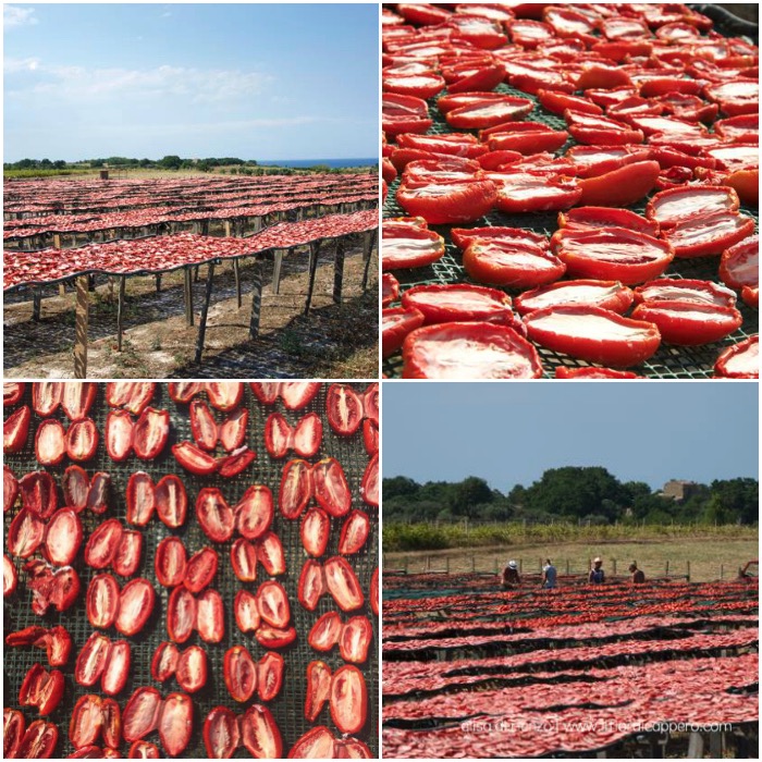 pomodori-secchi
