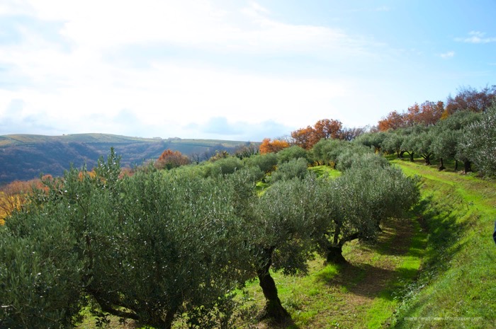 redoro-mezzane