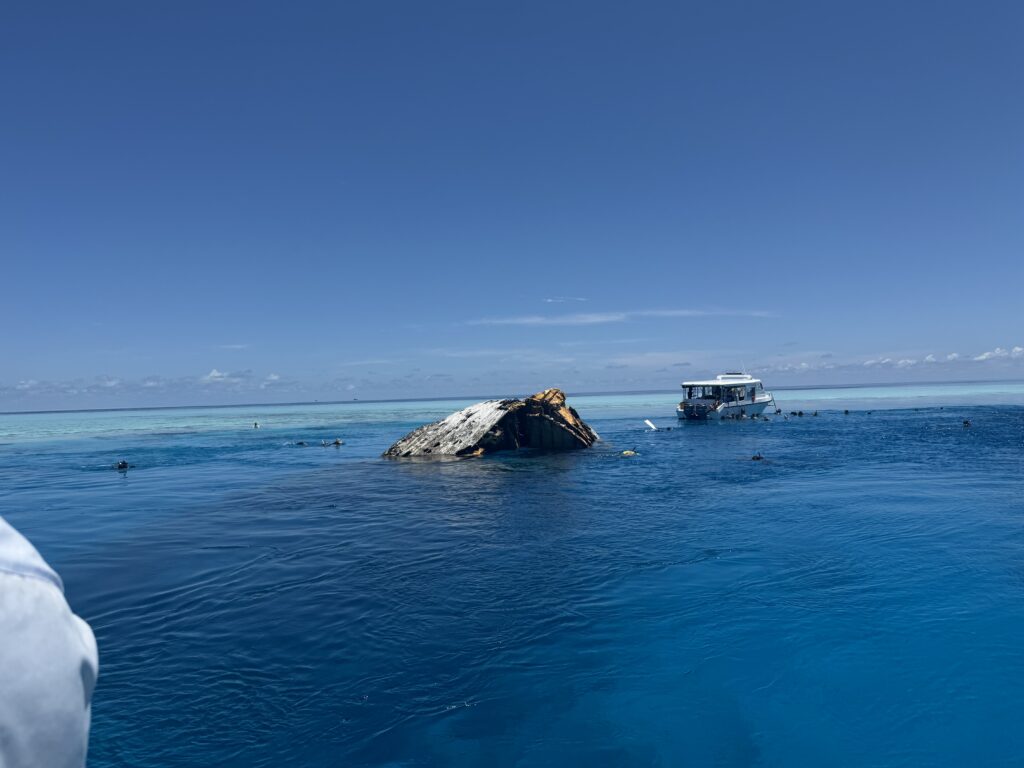 Maldive cosa sapere prima di partire: guida pratica e consigli utili 12 maldive snorkelin