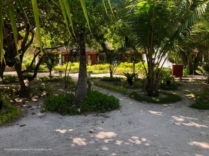 bandos maldives 14