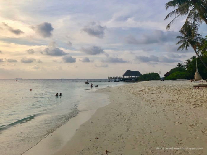 bandos maldives 15