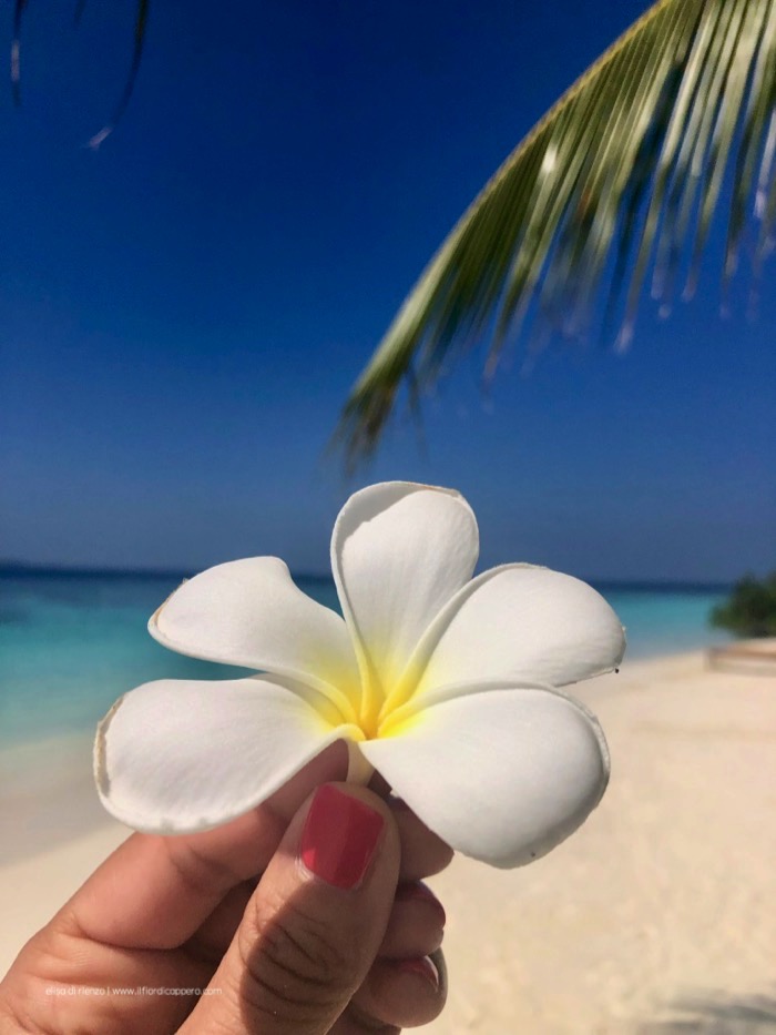 bandos maldives 27