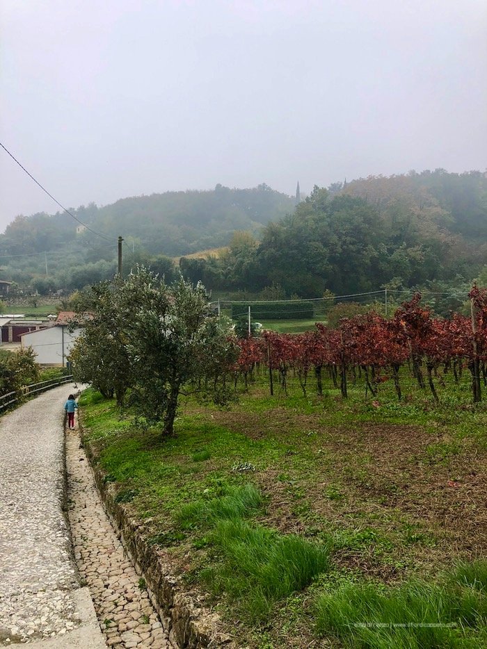 valle dei mulini