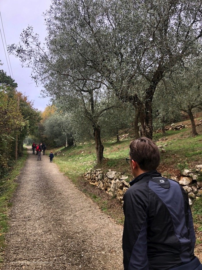 sentiero 81 colli berici
