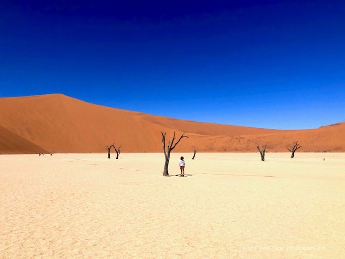 Deadvlei