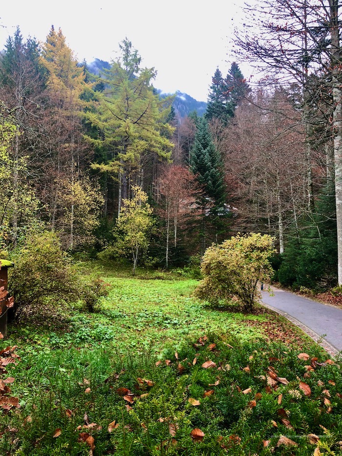 fussen
