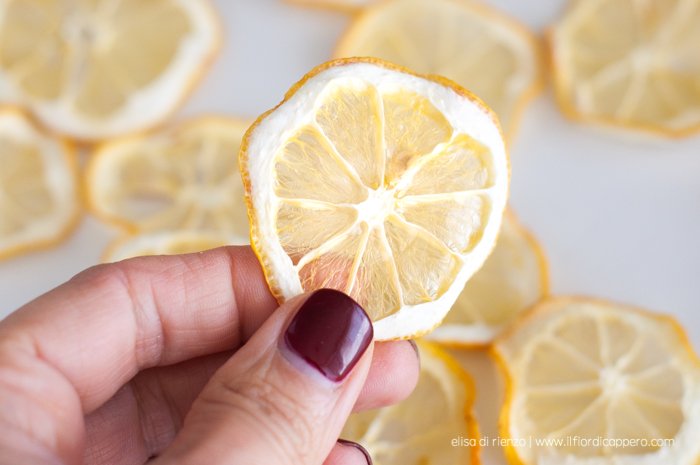 Gli articoli più letti nel 2024 17 limoni essiccati