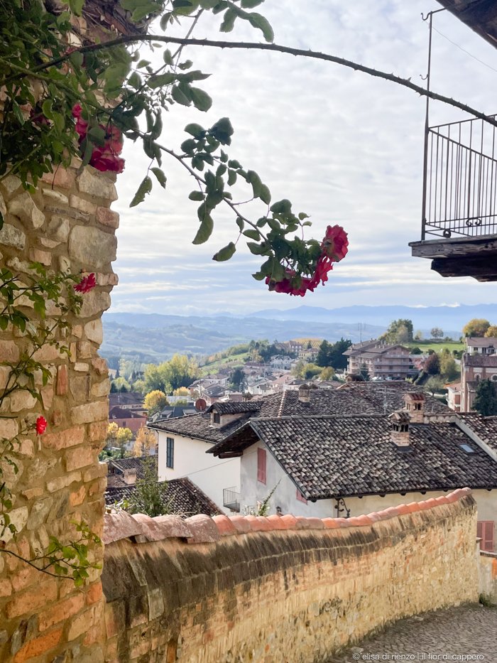 3 giorni nelle Langhe: itinerari tra borghi e vigneti 13 Monforte d'Alba