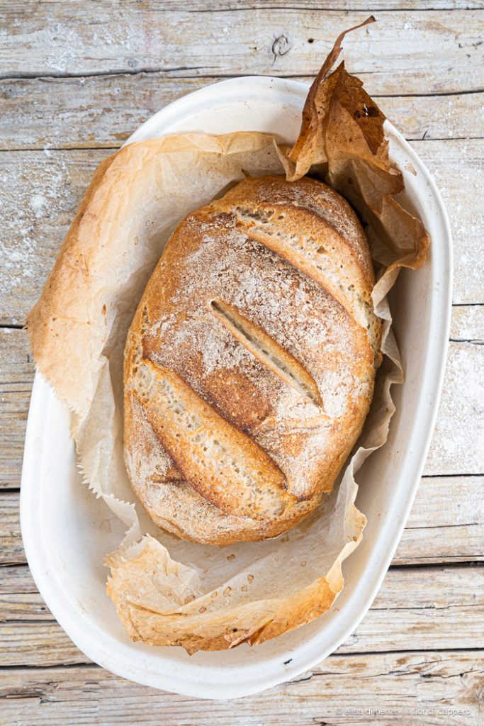 pane senza glutine