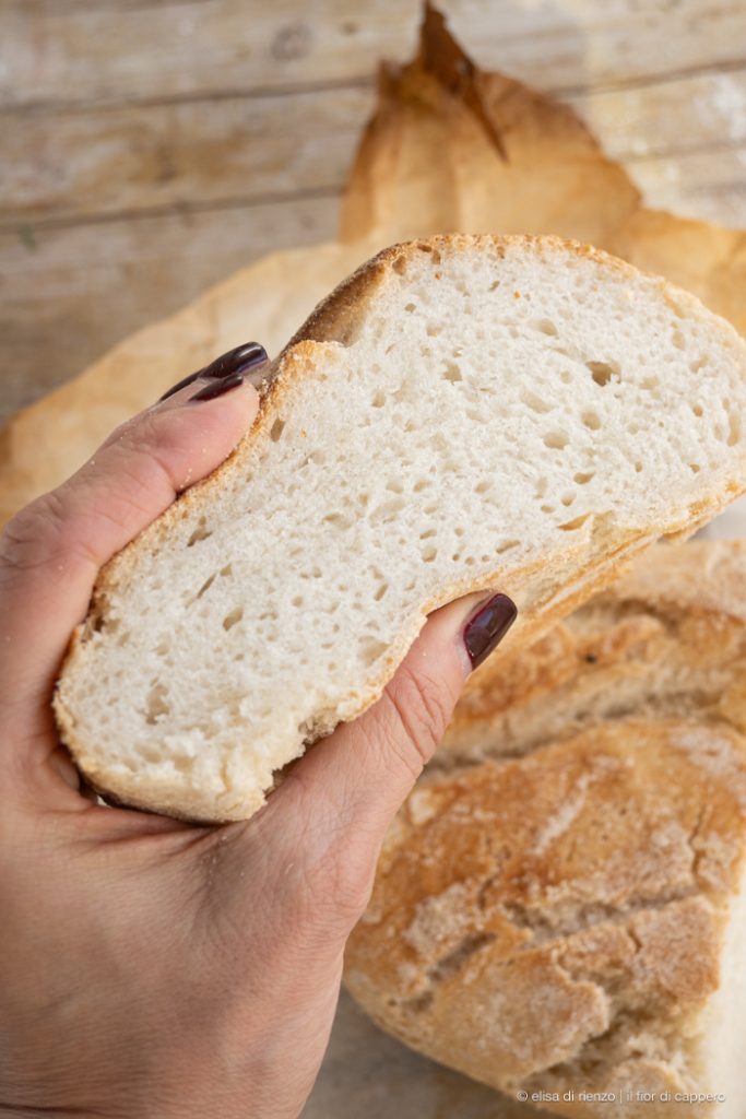 pane senza glutine
