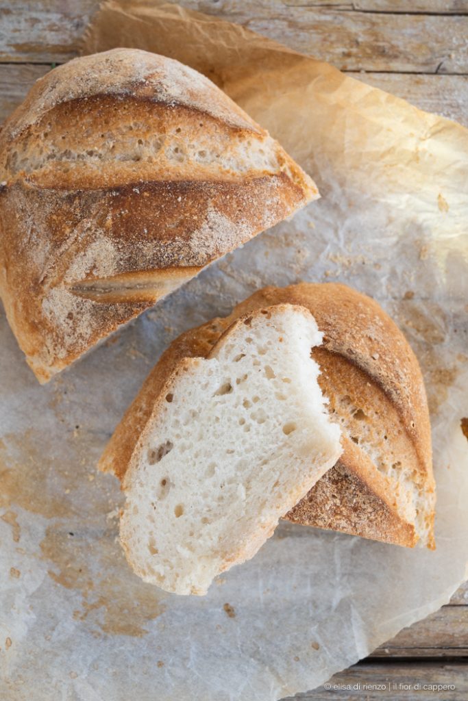 pane senza glutine