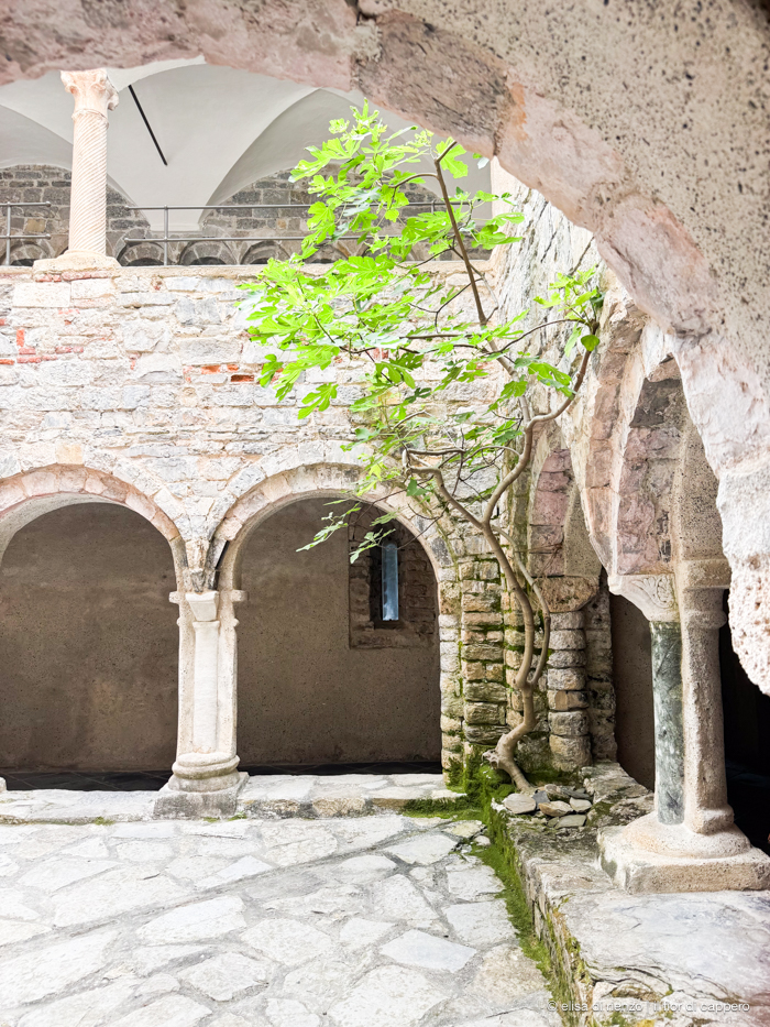 Abbazia di San Fruttuoso, un gioiello nel golfo Paradiso 10 abbazia San Fruttuoso
