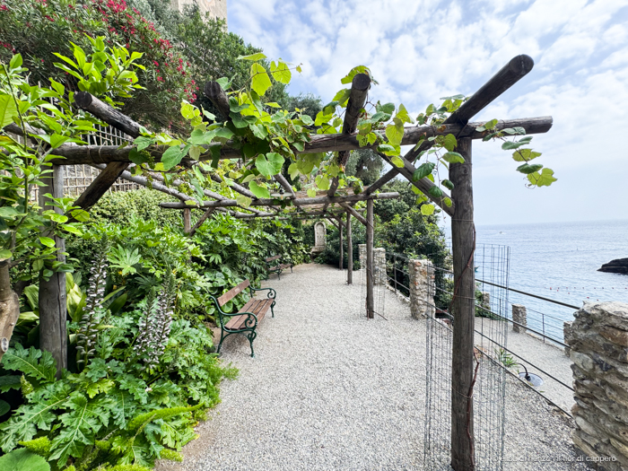 Abbazia di San Fruttuoso, un gioiello nel golfo Paradiso 26 abbazia San Fruttuoso