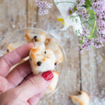 biscotti al cocco