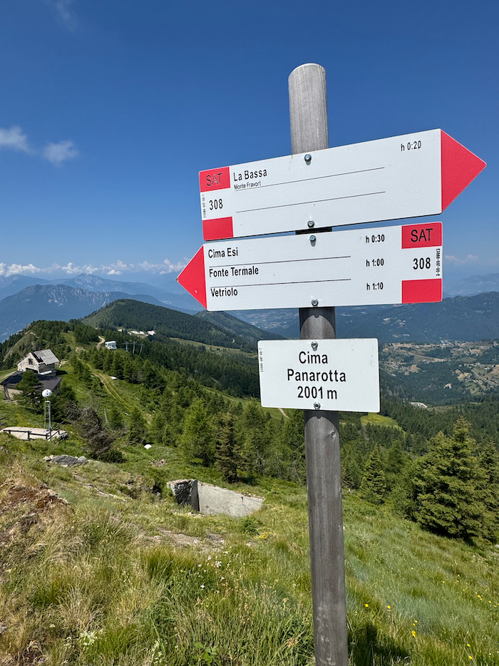 Lupa del Lagorai: memoria e rinascita tra i boschi della Valsugana 18 escursione monte panarotta