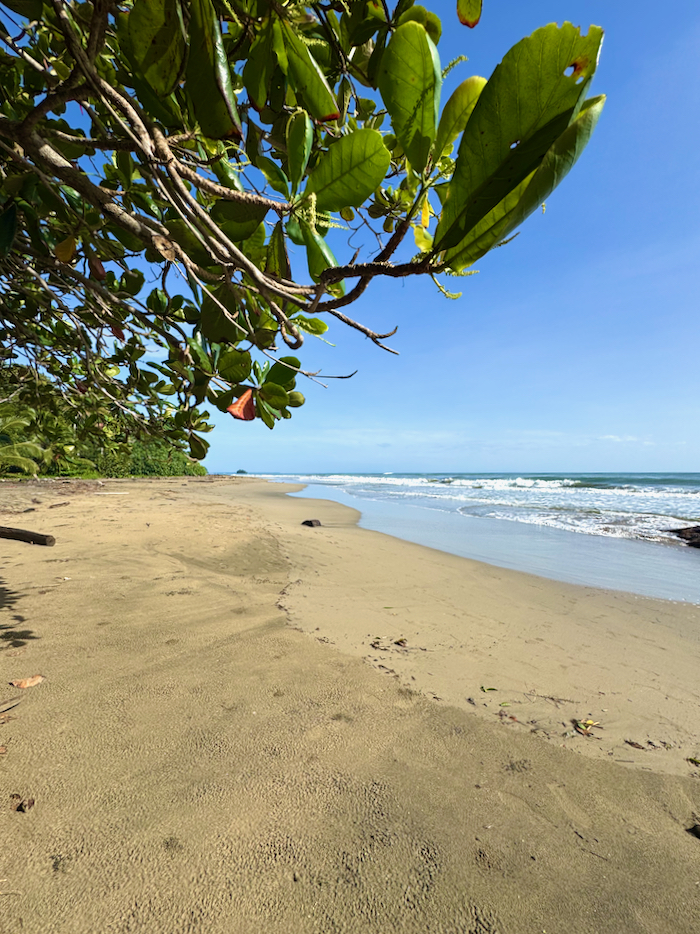 Costa Rica on the road, tra vulcani, oceani e foreste 9 Costa Rica