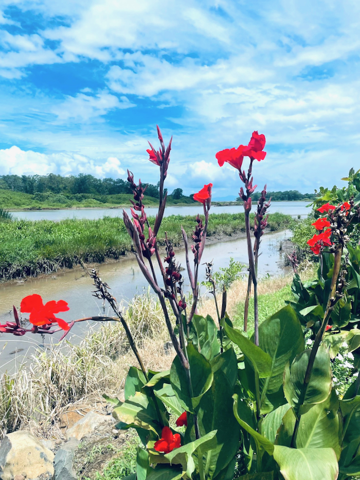 Costa Rica on the road, tra vulcani, oceani e foreste 16 Costa Rica tarcoles