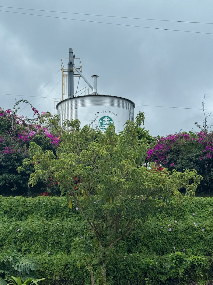 Costa Rica on the road, tra vulcani, oceani e foreste 57 Costa Rica starbuks