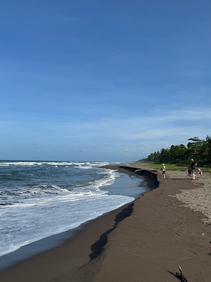 Costa Rica on the road, tra vulcani, oceani e foreste 48 Costa Rica tortuguero