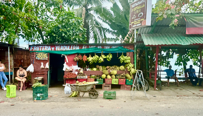Costa Rica on the road, tra vulcani, oceani e foreste 15 Costa Rica