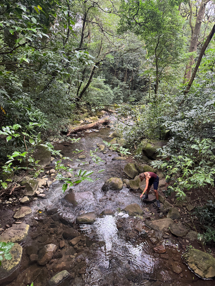Costa Rica on the road, tra vulcani, oceani e foreste 31 Costa Rica rincon del la veja