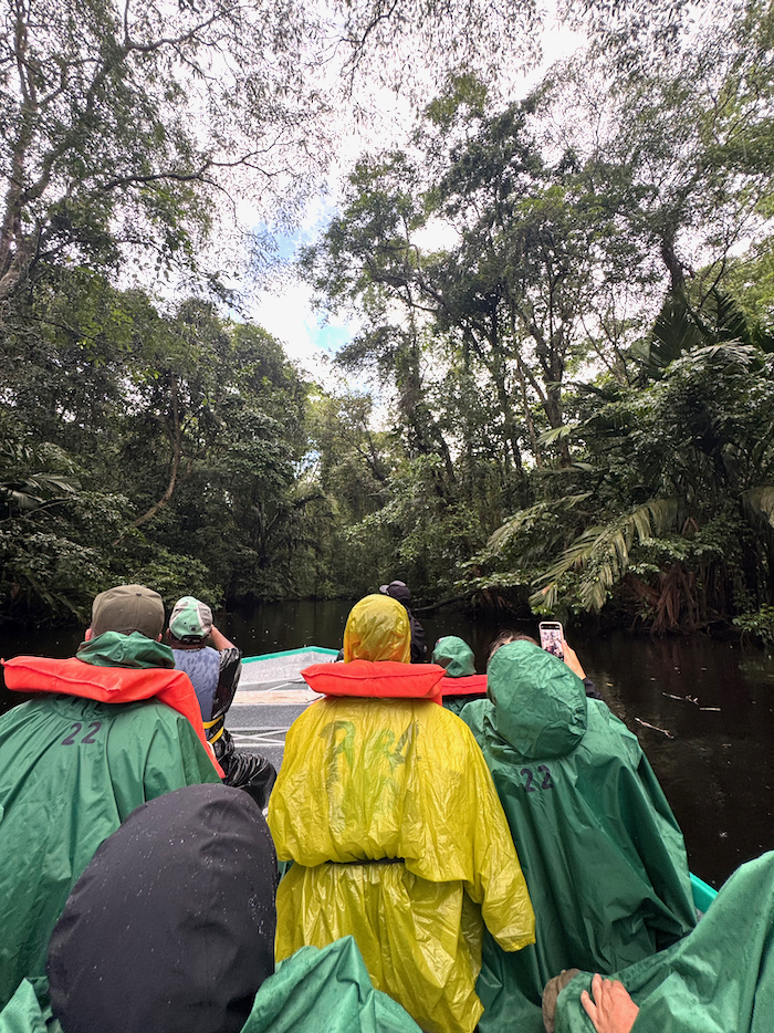 Costa Rica on the road, tra vulcani, oceani e foreste 44 Costa Rica tortuguero