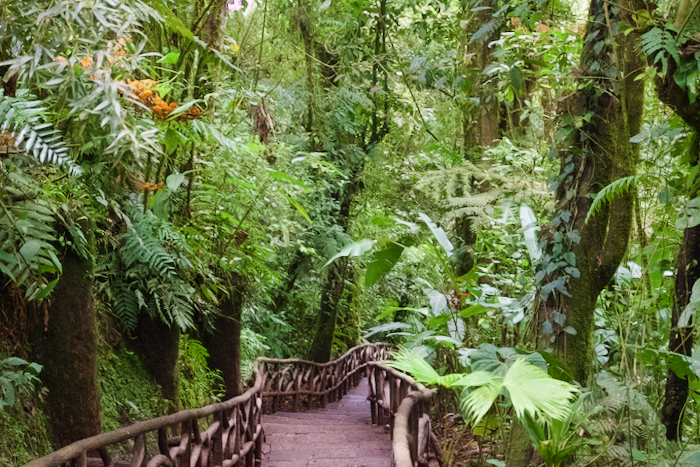 Costa Rica on the road, tra vulcani, oceani e foreste 56 Costa Rica giardino la paz