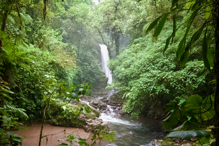Costa Rica on the road, tra vulcani, oceani e foreste 55 Costa Rica giardino la paz