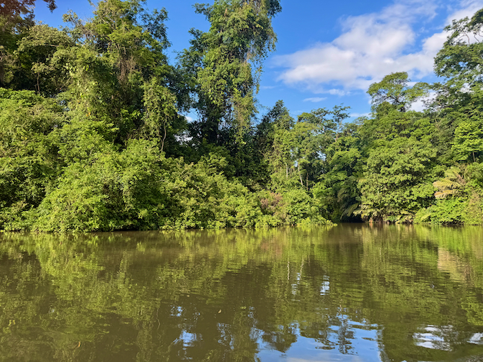 Costa Rica on the road, tra vulcani, oceani e foreste 45 Costa Rica tortuguero