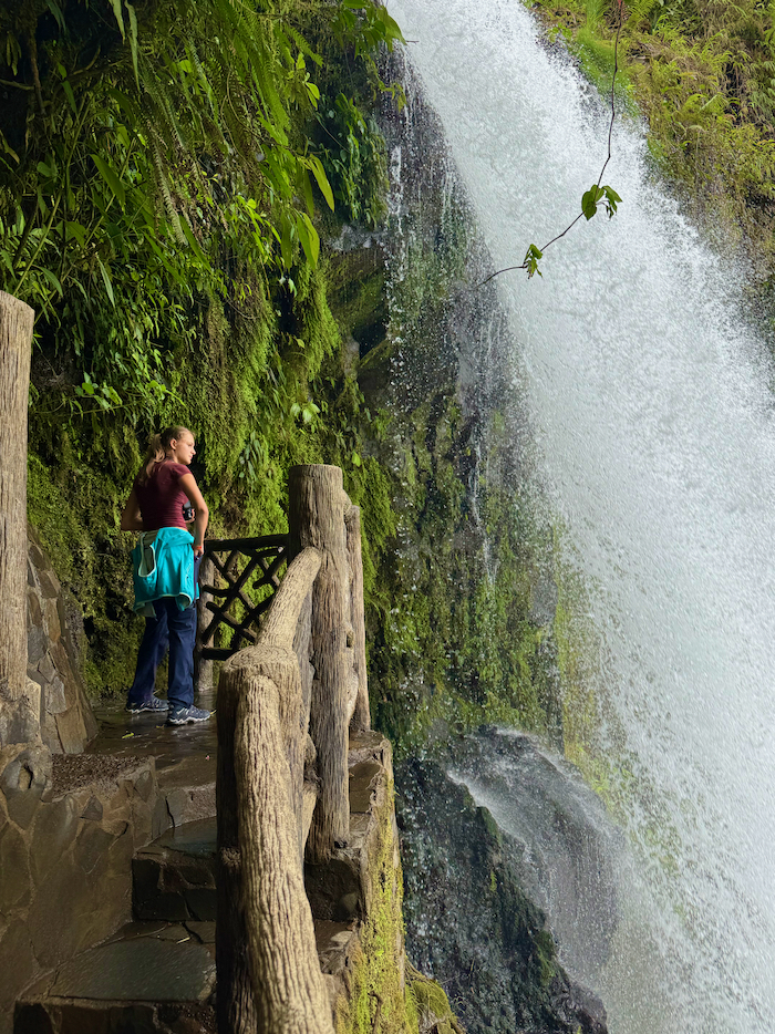 Costa Rica on the road, tra vulcani, oceani e foreste 54 Costa Rica giardino la paz