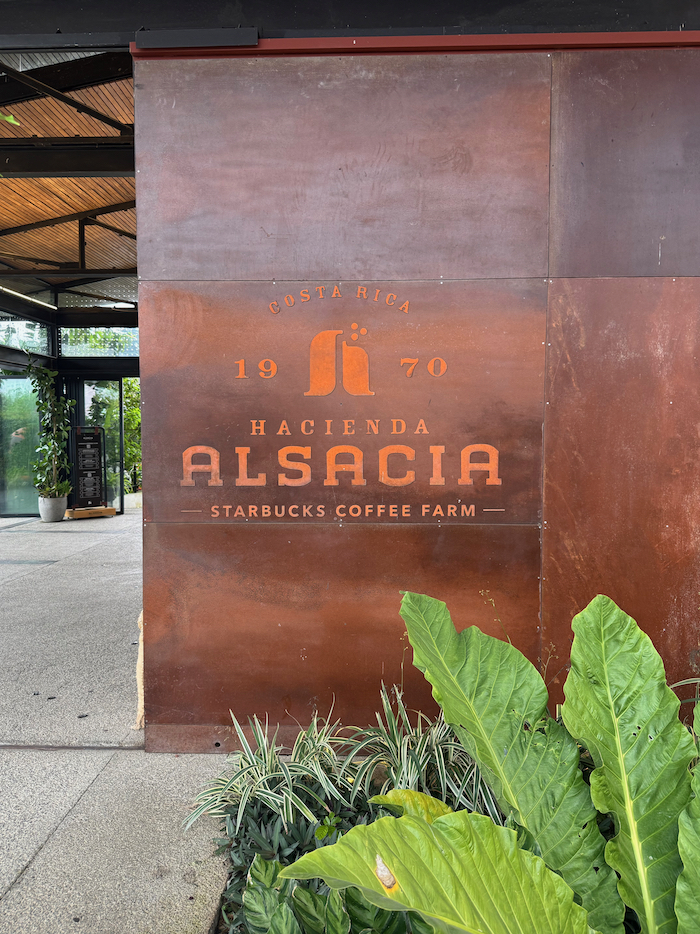 Costa Rica on the road, tra vulcani, oceani e foreste 58 Costa Rica starbuks