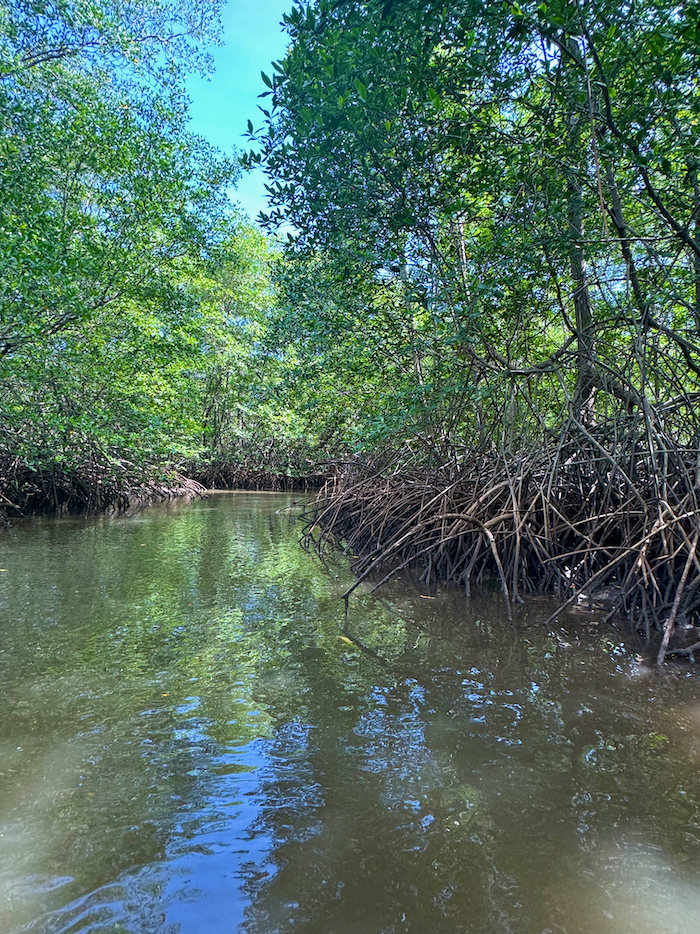 Costa Rica on the road, tra vulcani, oceani e foreste 29 costa rica tamarindo