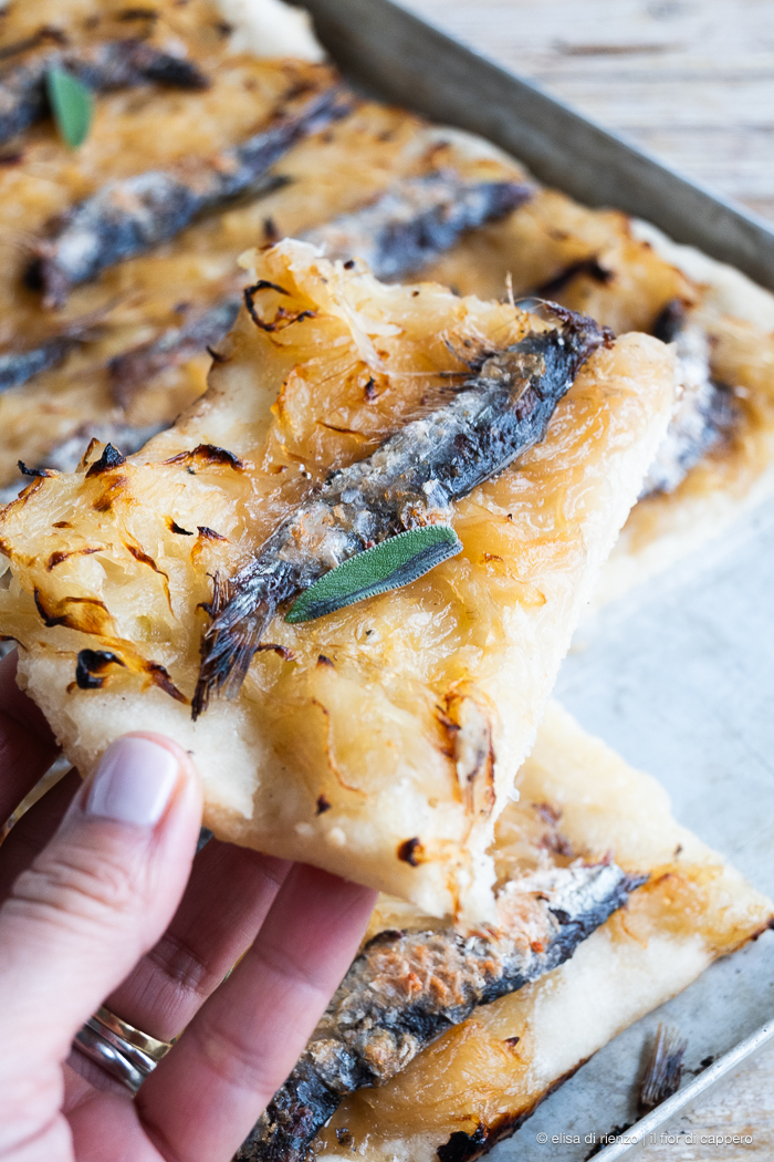 Pissaladière alla veneta: con cipolle e sarde sottosale 5 Pissaladière veneta