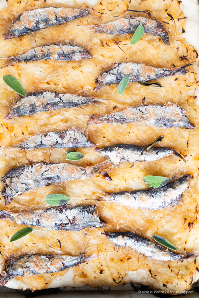 Pissaladière alla veneta: con cipolle e sarde sottosale 7 Pissaladière cotta