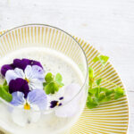 Panna cotta con acetosella: il dessert primaverile perfetto 7 panna cotta con acetosella