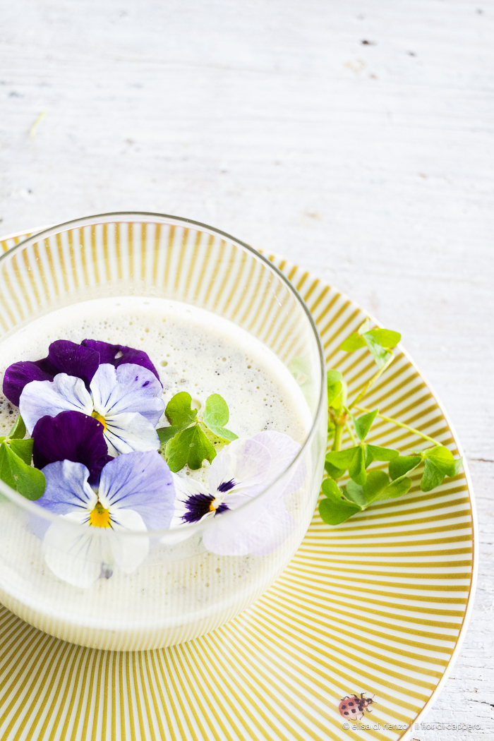 Panna cotta con acetosella: il dessert primaverile perfetto 11 panna cotta con acetosella