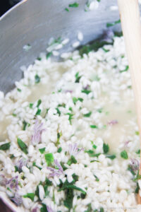 cottura risotto con erba cipollina