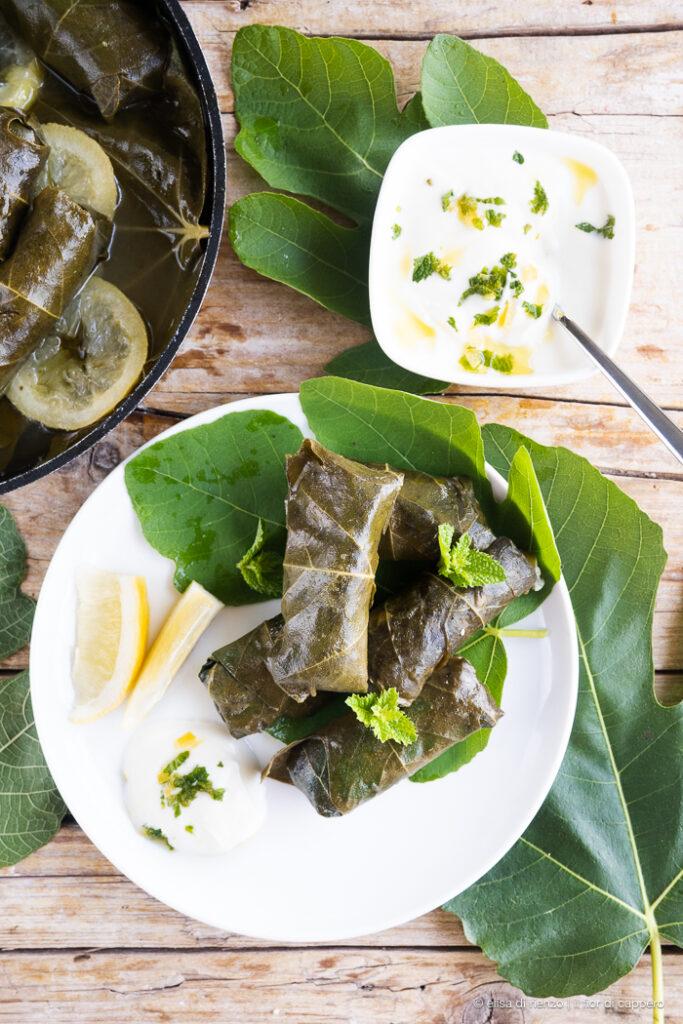 Babaganoush, la celebre crema di melanzane del Medio Oriente 11 dolmades