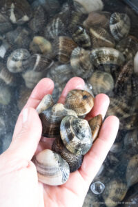Spaghetti co le cape, ovvero gli spaghetti con le vongole alla veneziana 9 vongole