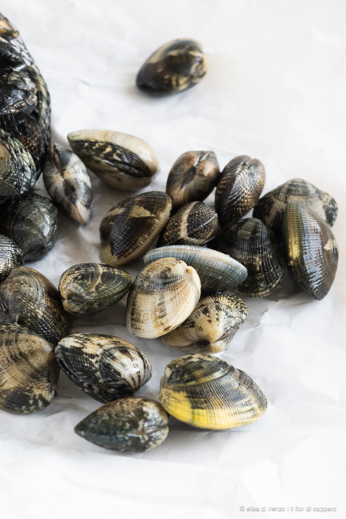 Spaghetti co le cape, ovvero gli spaghetti con le vongole alla veneziana 5 vongole veraci