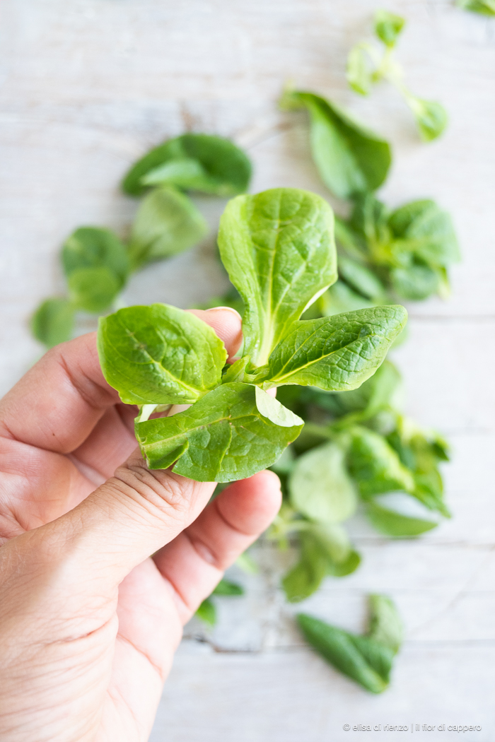 Insalata di valeriana, cetriolo e limone: fresca e aromatica 9 valeriana